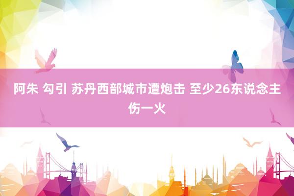 阿朱 勾引 苏丹西部城市遭炮击 至少26东说念主伤一火