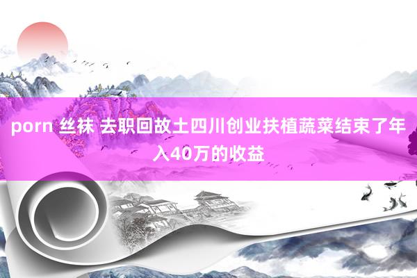 porn 丝袜 去职回故土四川创业扶植蔬菜结束了年入40万的收益