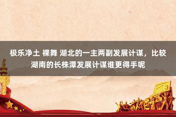极乐净土 裸舞 湖北的一主两副发展计谋，比较湖南的长株潭发展计谋谁更得手呢