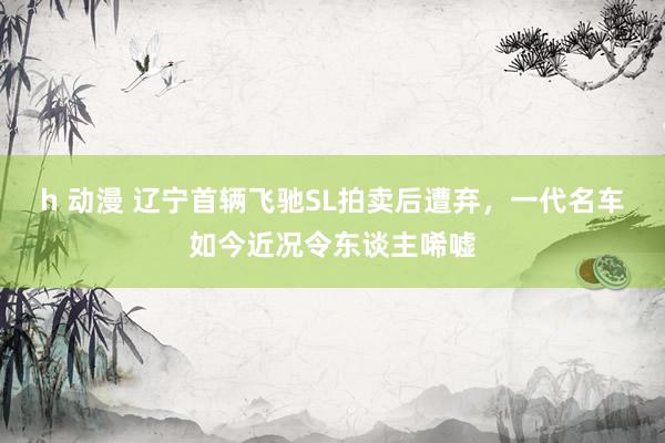 h 动漫 辽宁首辆飞驰SL拍卖后遭弃，一代名车如今近况令东谈主唏嘘