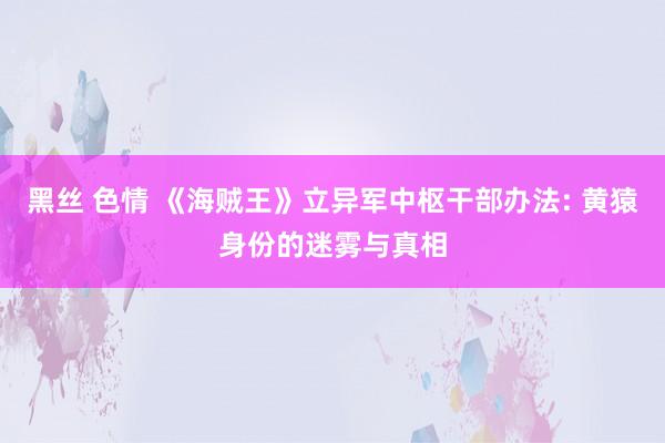 黑丝 色情 《海贼王》立异军中枢干部办法: 黄猿身份的迷雾与真相