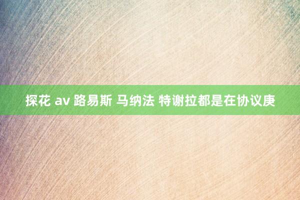 探花 av 路易斯 马纳法 特谢拉都是在协议庚